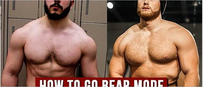 Bear mode physique